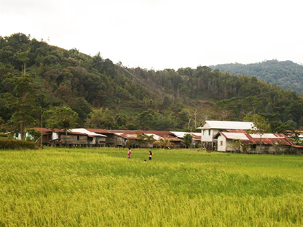 峇里奥高原配套