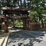 婆罗洲文化村