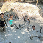 迪加岛（“生存者”岛探险之旅 )