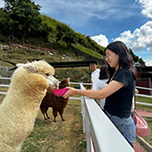 3天2晚 沙巴昆达山 + 神山公园