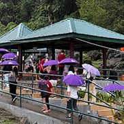 4天3晚 神山公园 + 文化村 + 红树林（1 晚住宿在昆达山） 