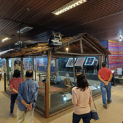 亚庇市区游 + 红树林 + 萤火虫
