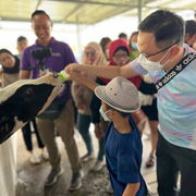 神山滑翔伞 + 德萨奶牛场