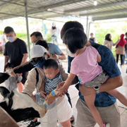 神山滑翔伞 + 德萨奶牛场