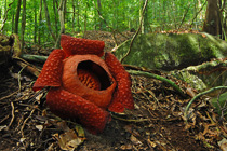 加丁山国家公园