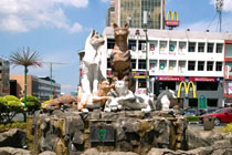 4天3晚 古晋市 + 峇哥国家公园