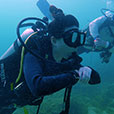 芭雅岛体验潜水 (DSD)无需潜水合格认证