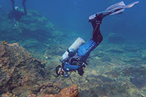 芭雅岛休闲潜水 (需潜水合格认证)