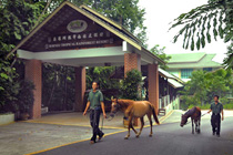 婆罗洲热带雨林渡假村生态之旅