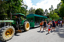 2天1晚 婆罗洲热带雨林渡假村