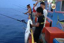 4天3晚美里深海钓鱼