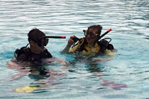 PADI 开放水域潜水课程 (OW)