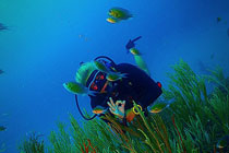 PADI 进阶开放水域潜水课程 (AOW)