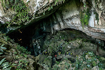 2天1晚姆鲁山岩洞