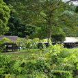 4天3晚姆鲁山石林探险
