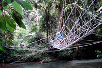 5天4晚姆鲁山石林 + 猎人头探险之旅