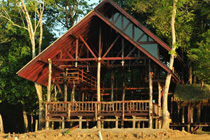 3天2晚 婆罗洲自然度假村 (苏高生态+野生动物观察团)