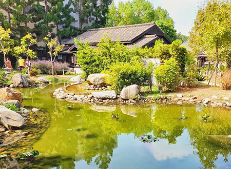 5天夜市老饕美食之旅 (星期五出发)