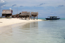 敦沙卡兰海洋公园一日游