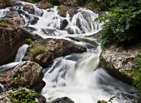 5天4夜芽庄 - 大叻